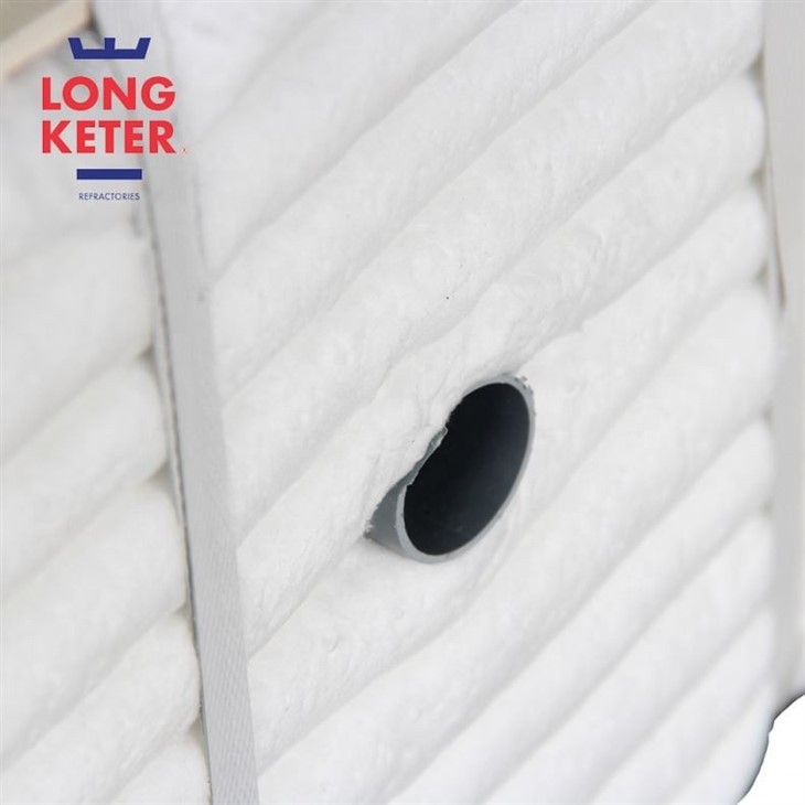 ceramic fiber module (20)